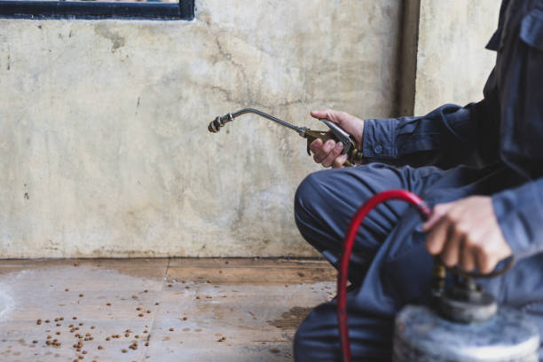 Best Pest Removal Services  in Swifton, AR