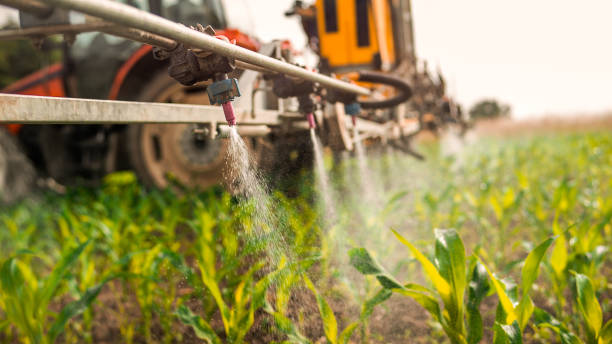 Best Insect Control  in Swifton, AR